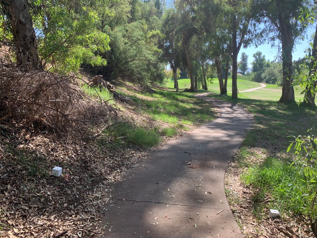 Alpha Hole 13 Tee