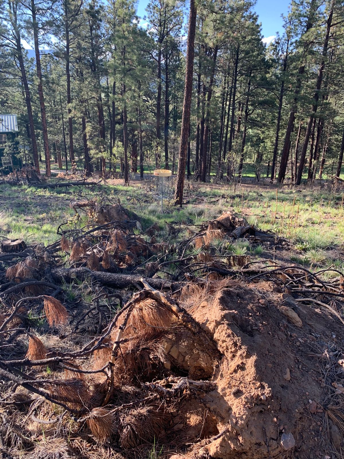 Hole 17