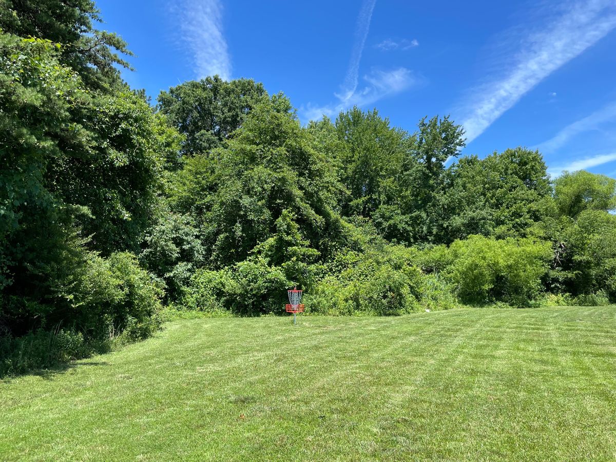 Hole 4 basket