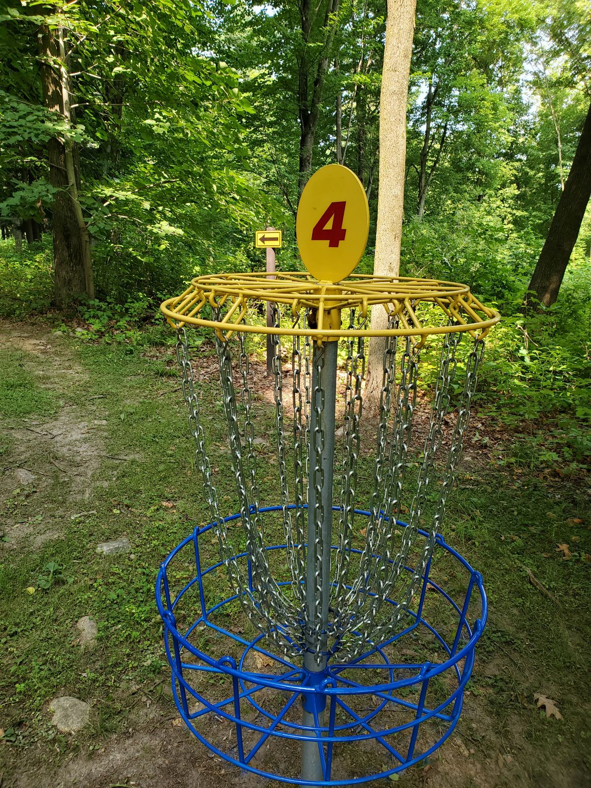 Basket 4