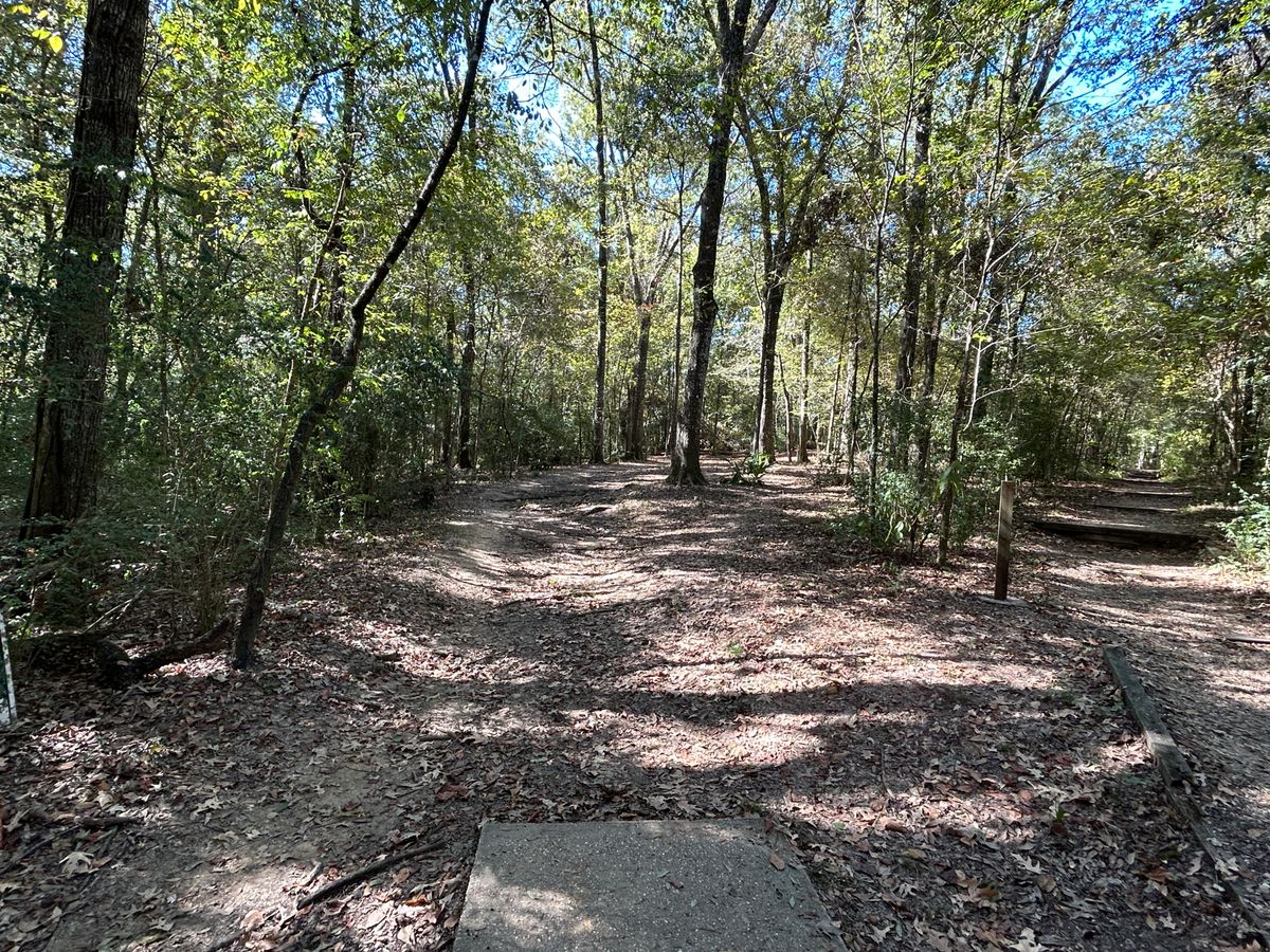 Hole 13 Fairway