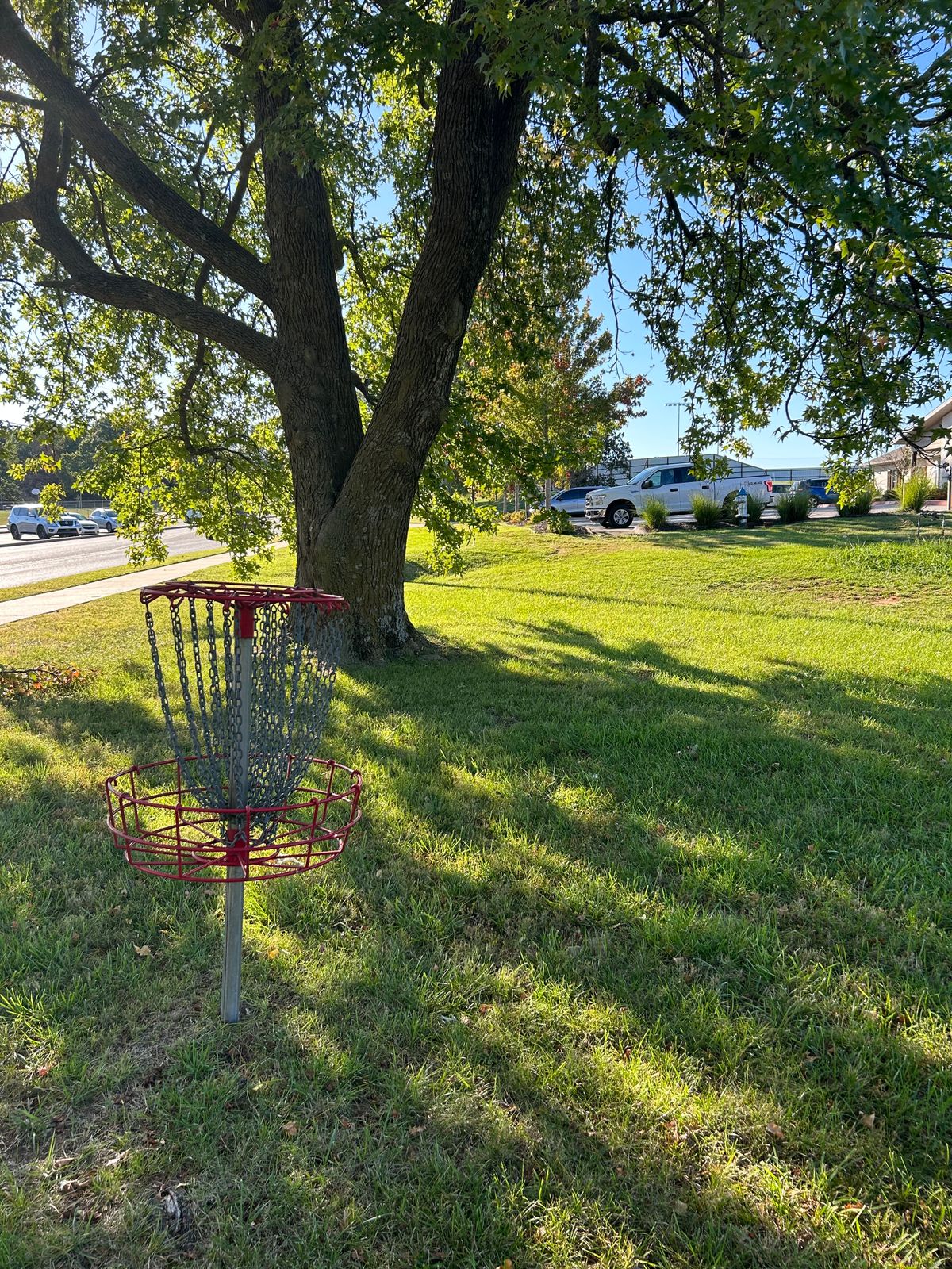 Hole #10 from the basket. 