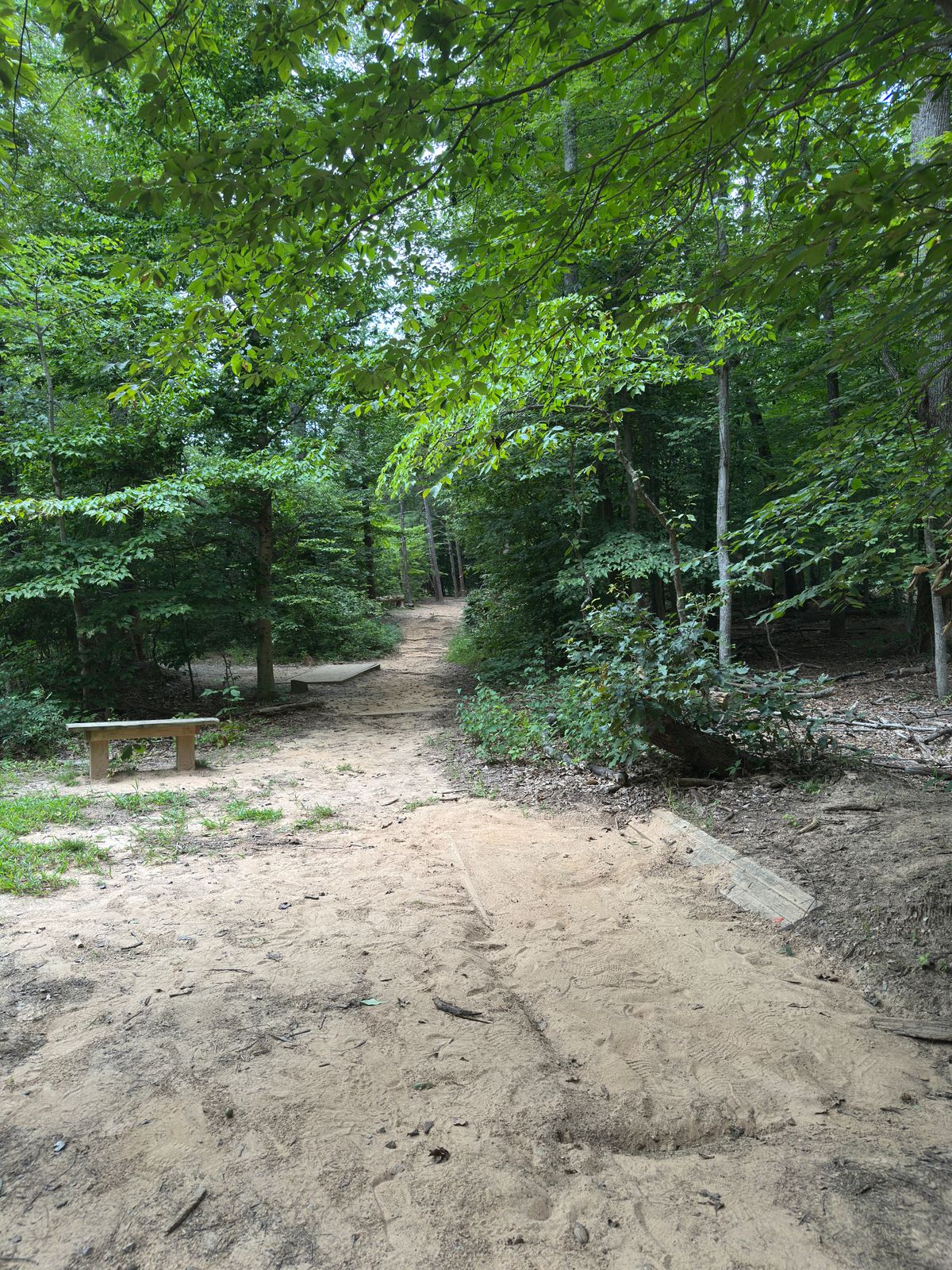 Hole 12 white tee