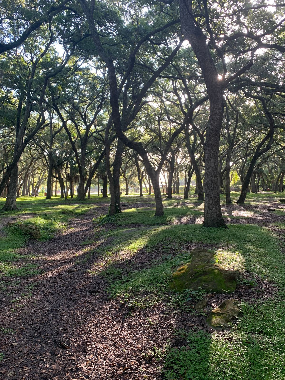 Hole 1