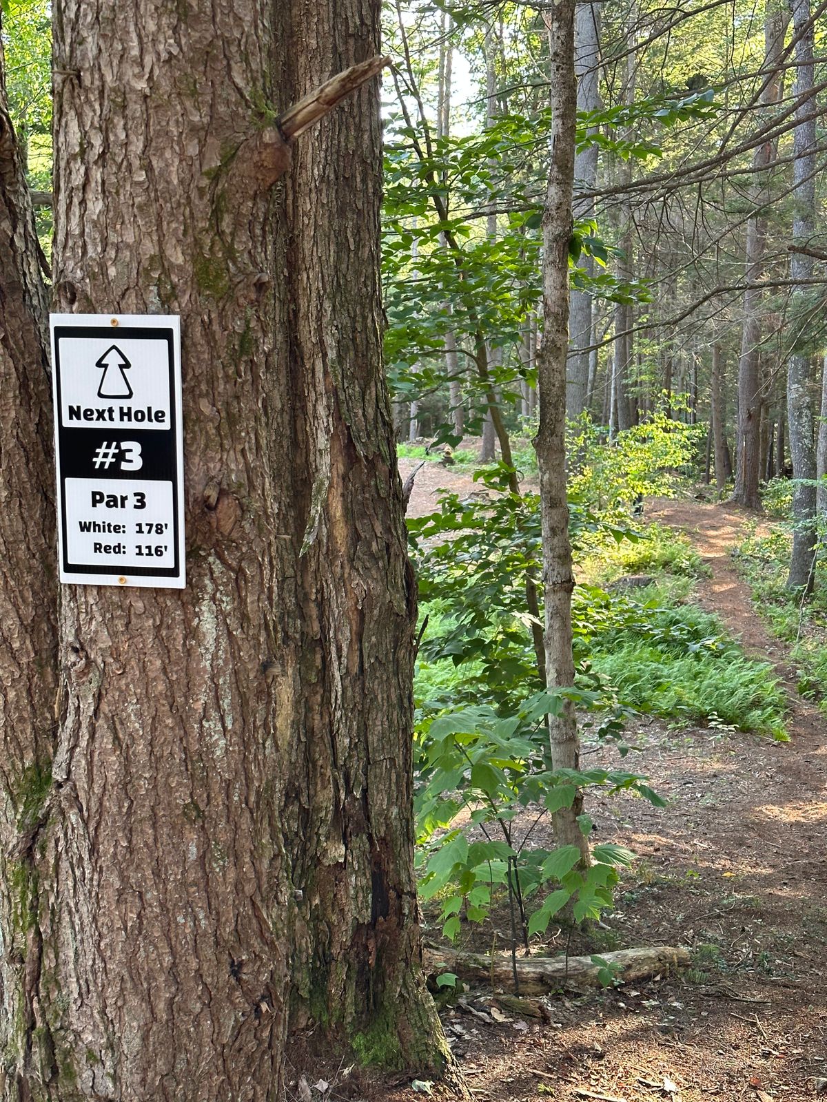 Path Between 2 & 3