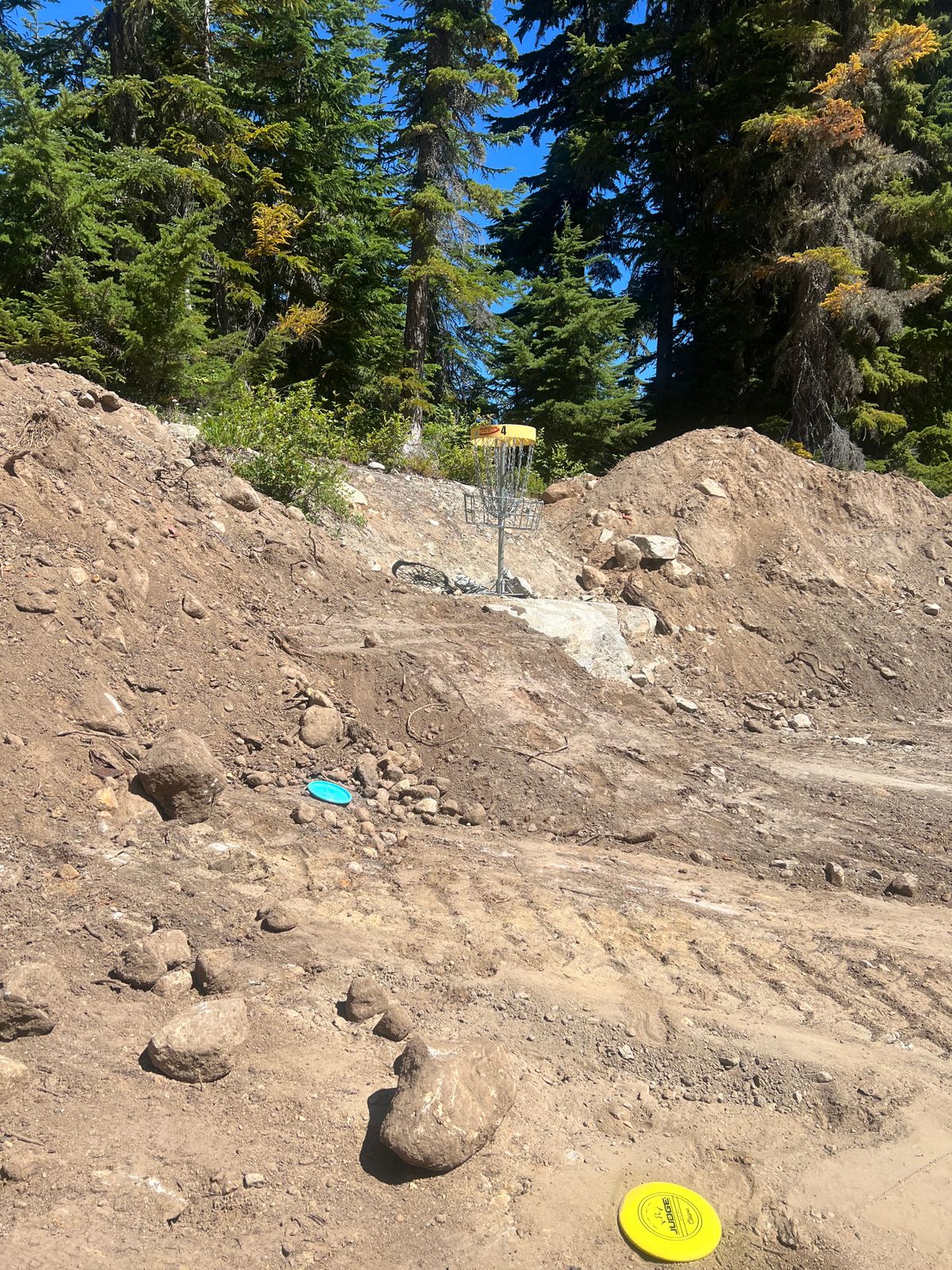 View of 4s basket. Elevated and guarded by dirt from the tee.