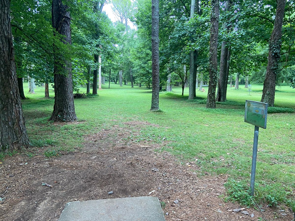 Hole 8