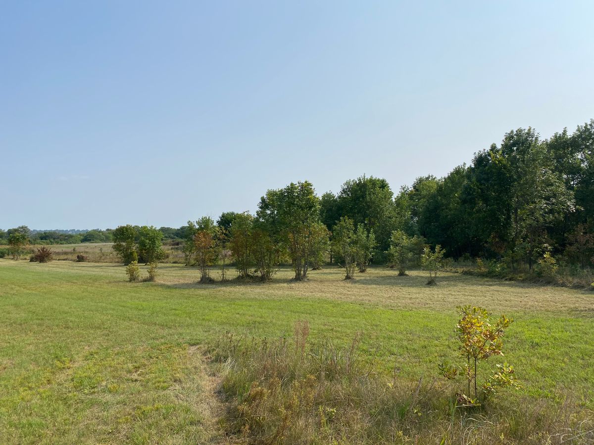 Hole 2 expansion 8/2021