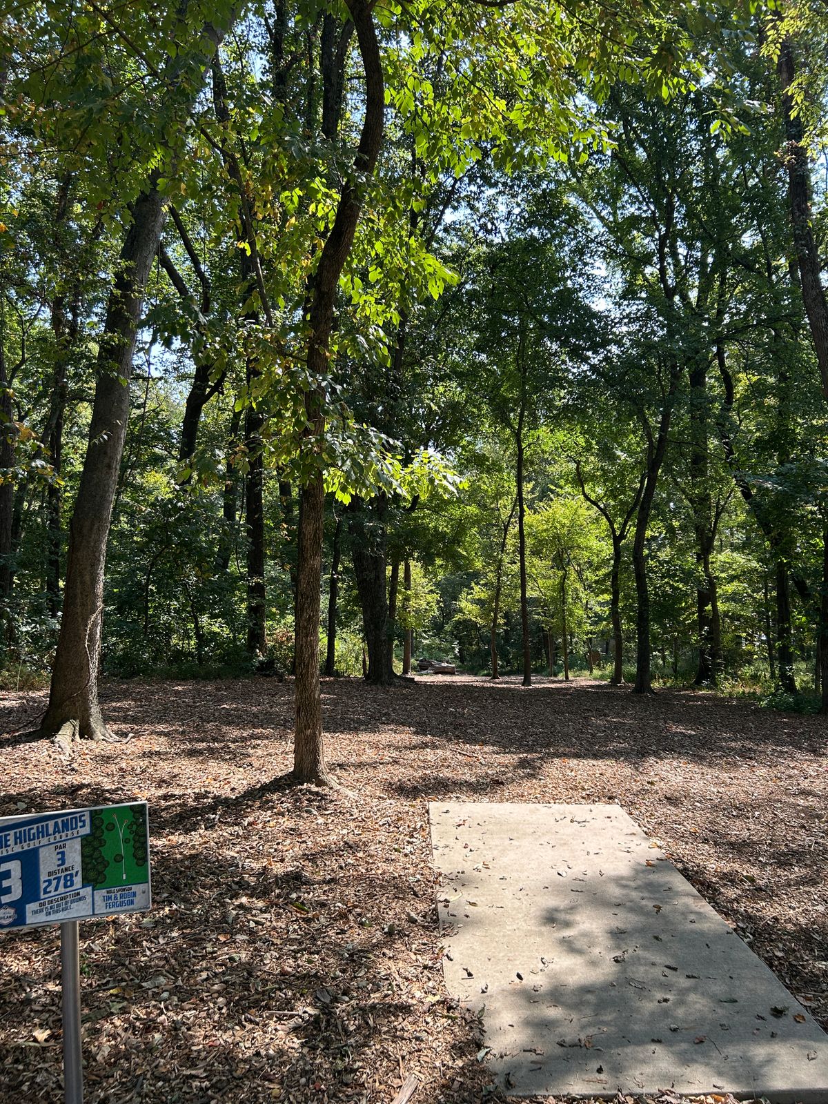 Hole 3 tee