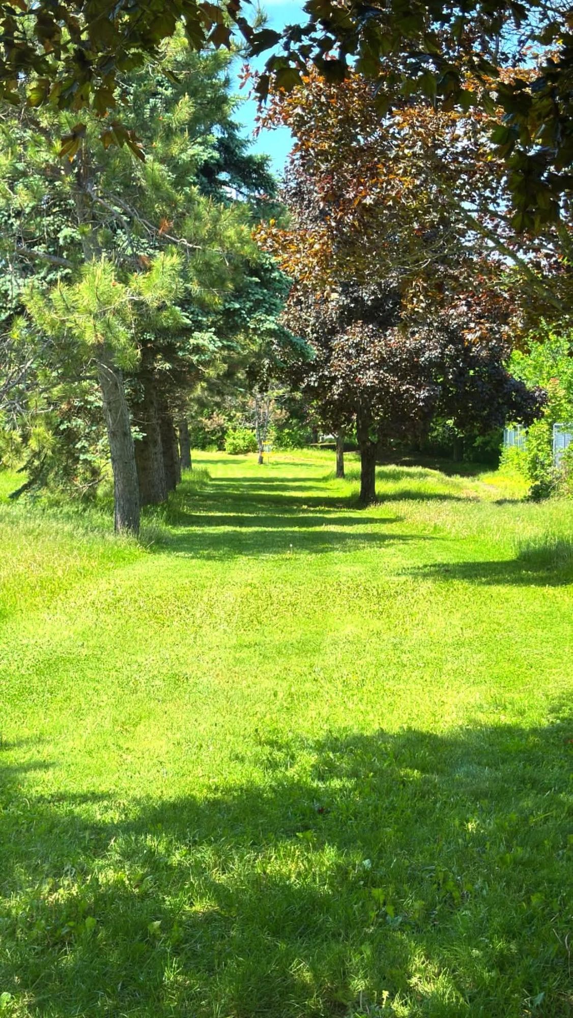 Hole 14 is a double-mando tunnel shot.  Tricky, but if you hit the gap there's ace potential!