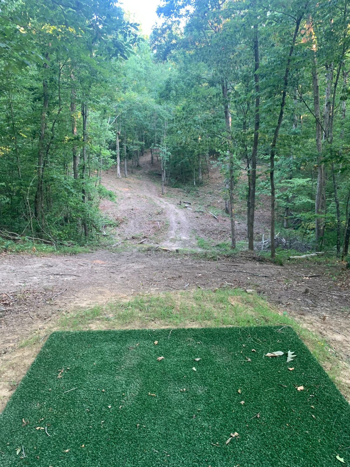 Hole #7, Par 4, 372 ft