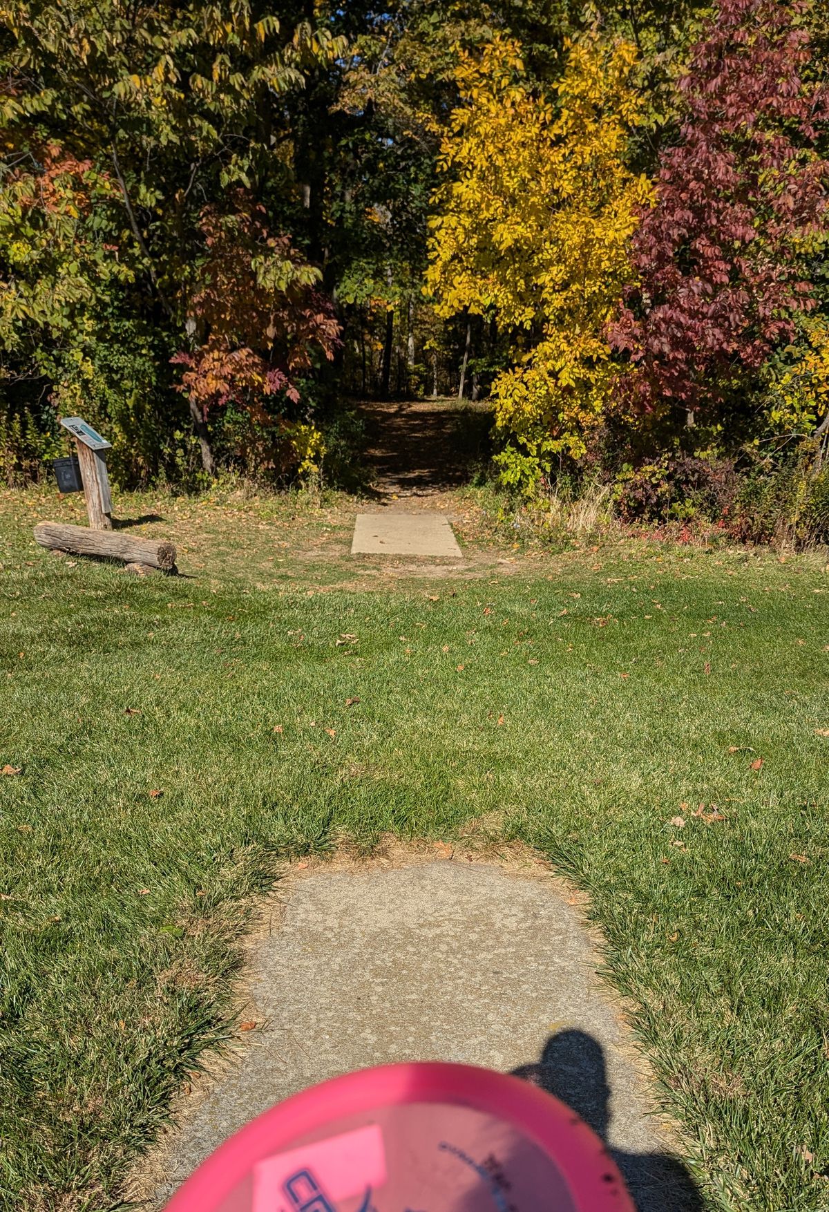 Hole #15 far and near tee pads