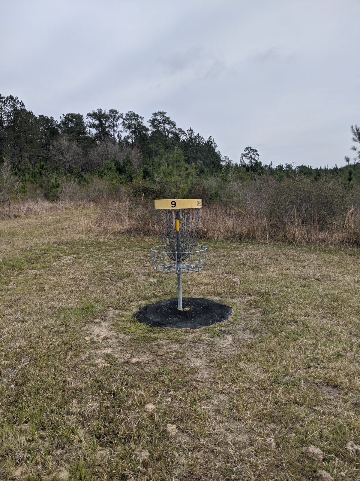Hole 9 Basket