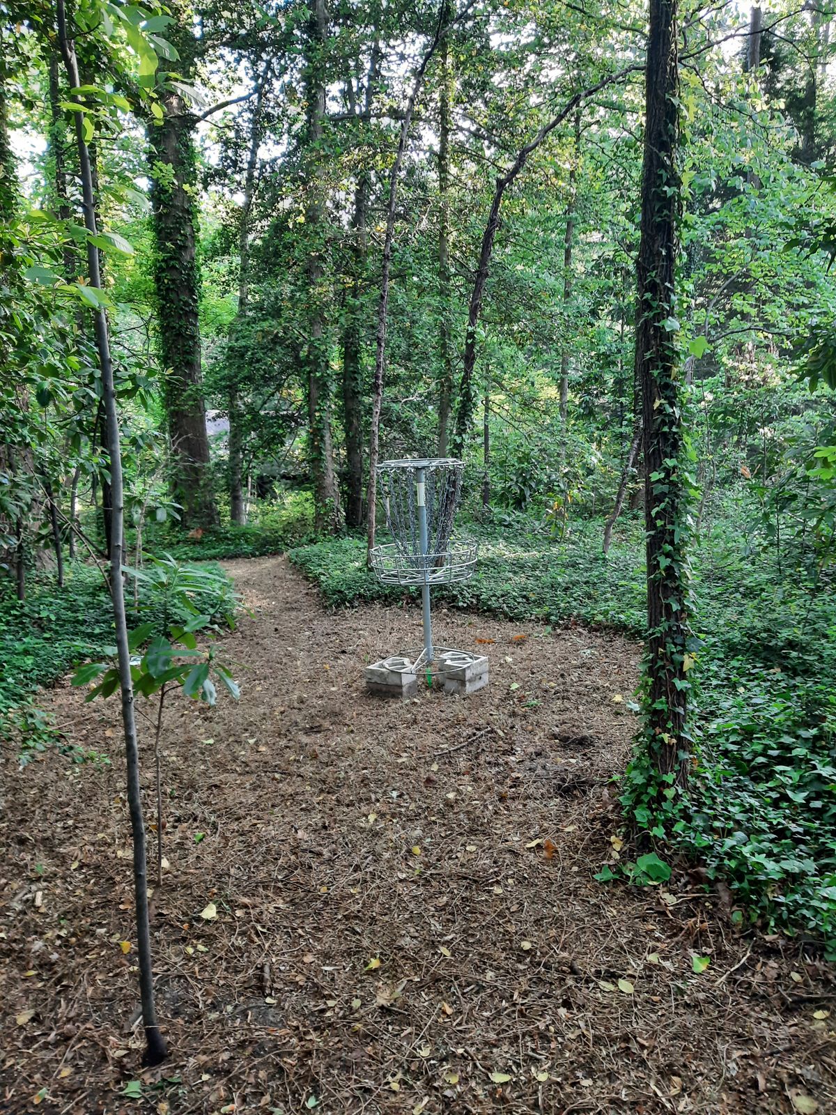 Hole 21 Green