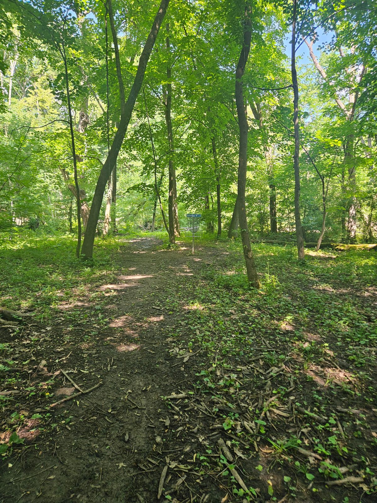 Hole 7 green