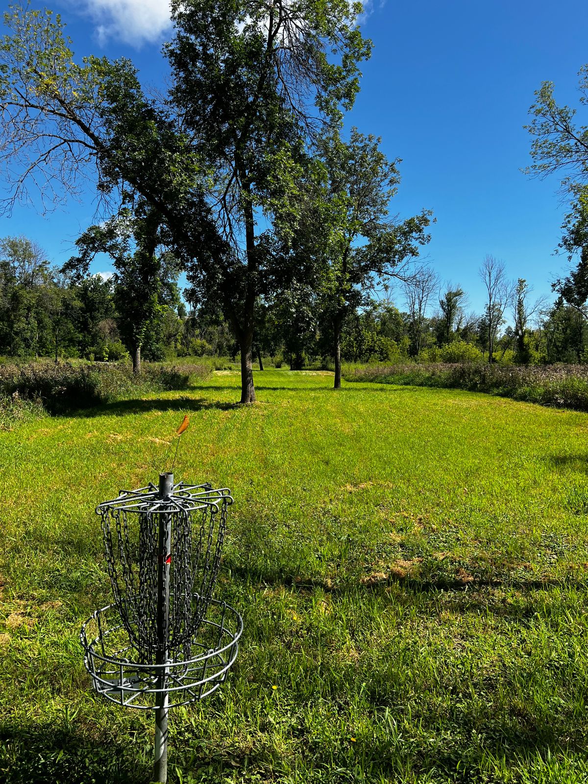 Hole O Basket