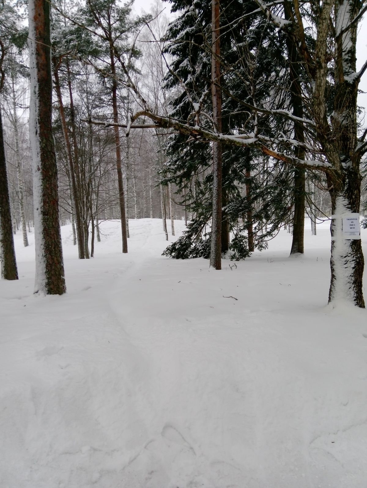 #5-väylän talviversio lumimyrskyn jälkeen 21.1.2022.