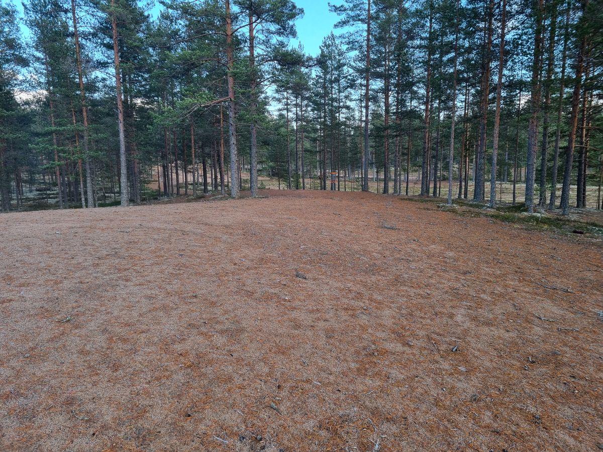Väylä 14, korin takana maasto viettää alaspäin