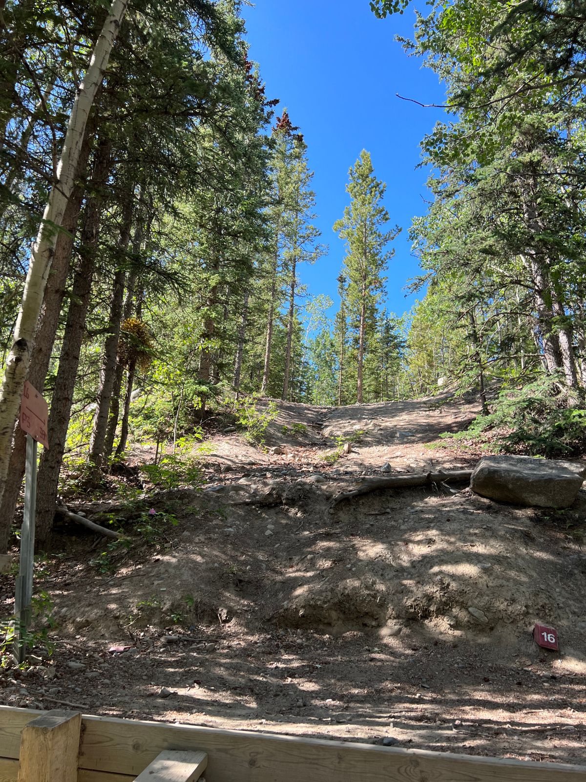 Hole 16 reds