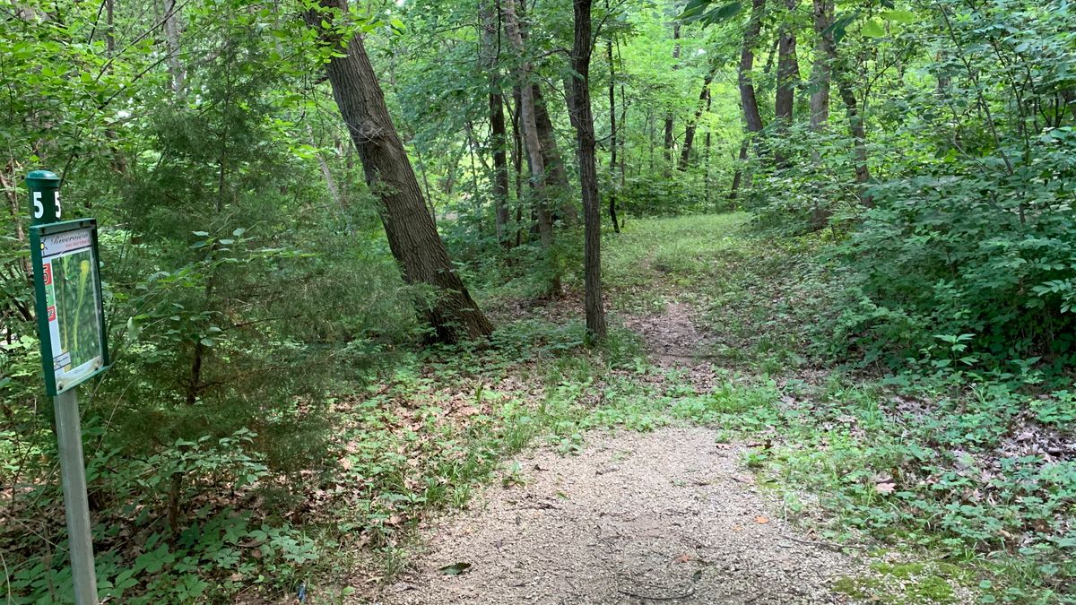 Hole 5