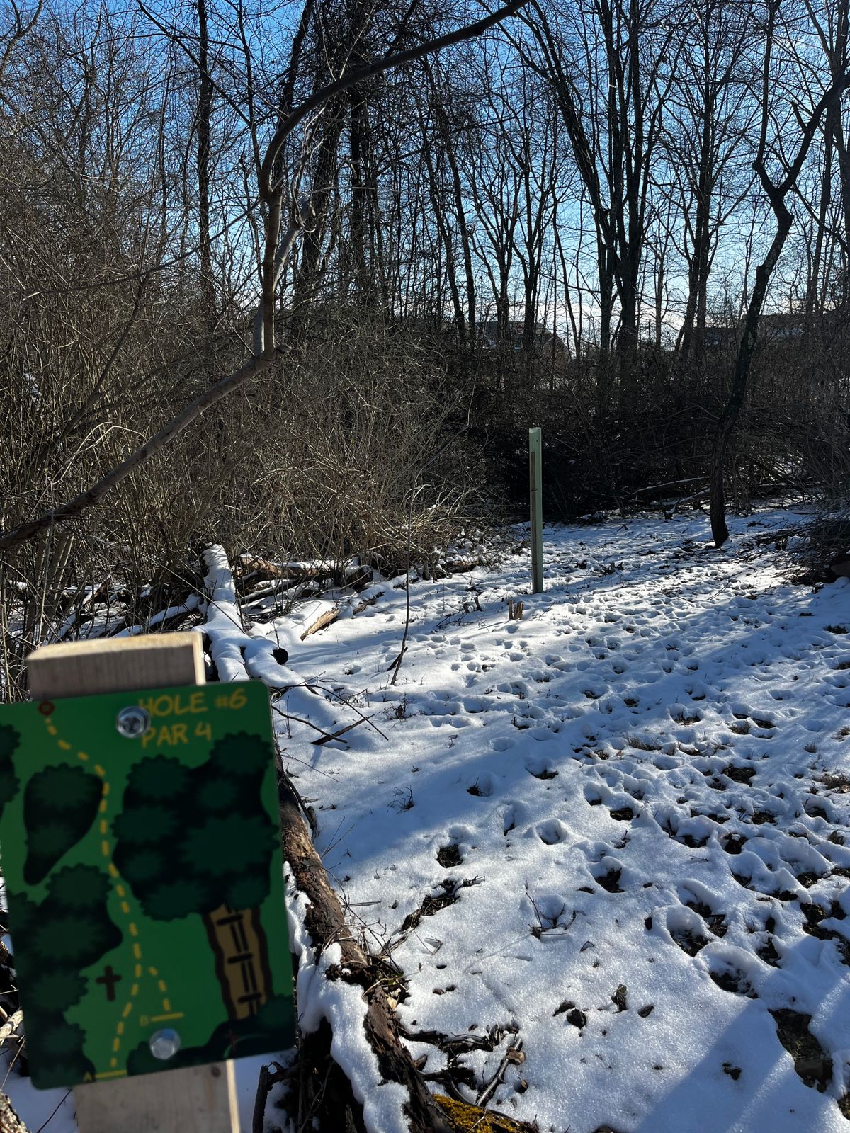 Hole 6
Par 4

Tight woods shot