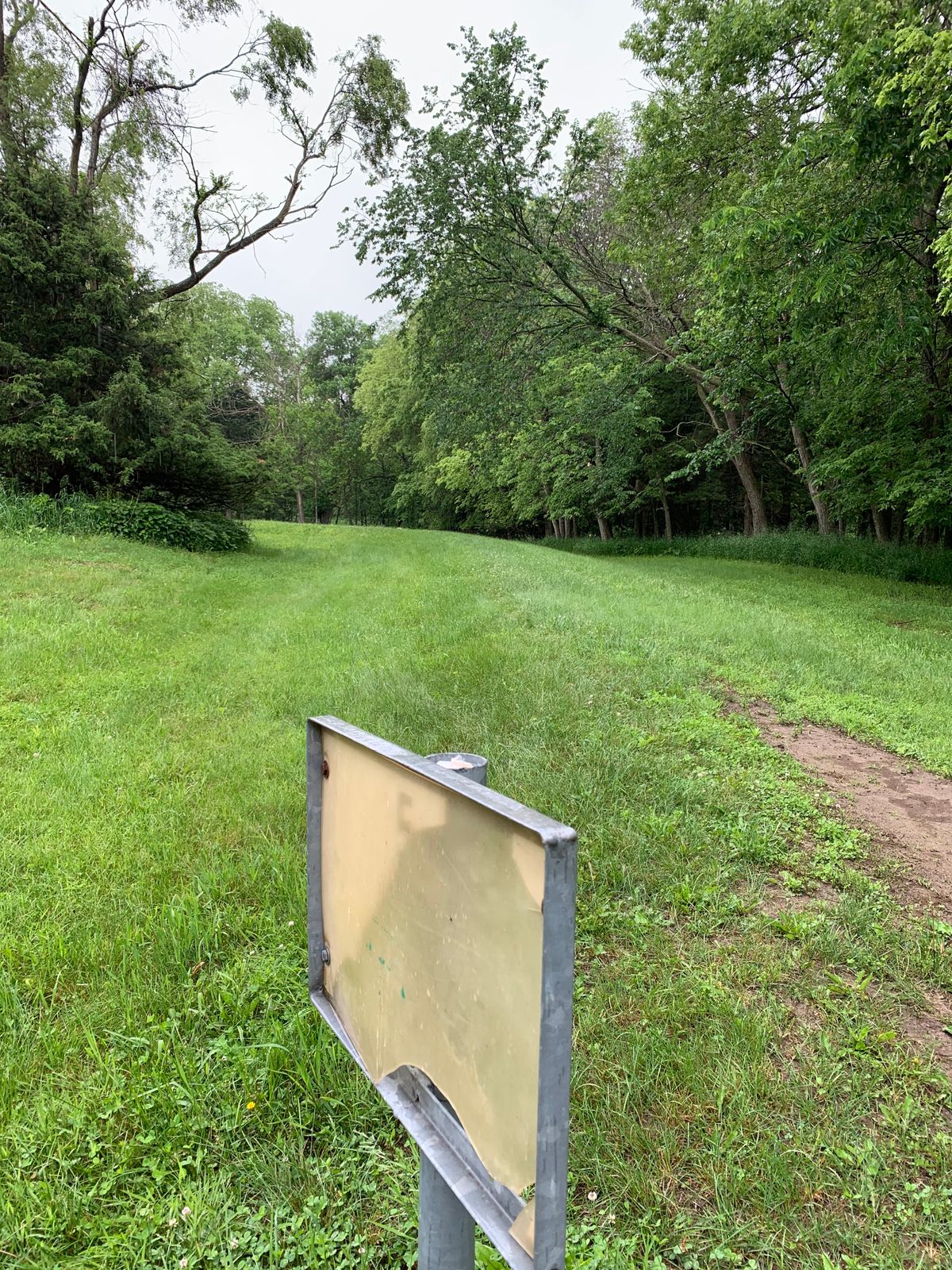 Hole #5 Tee