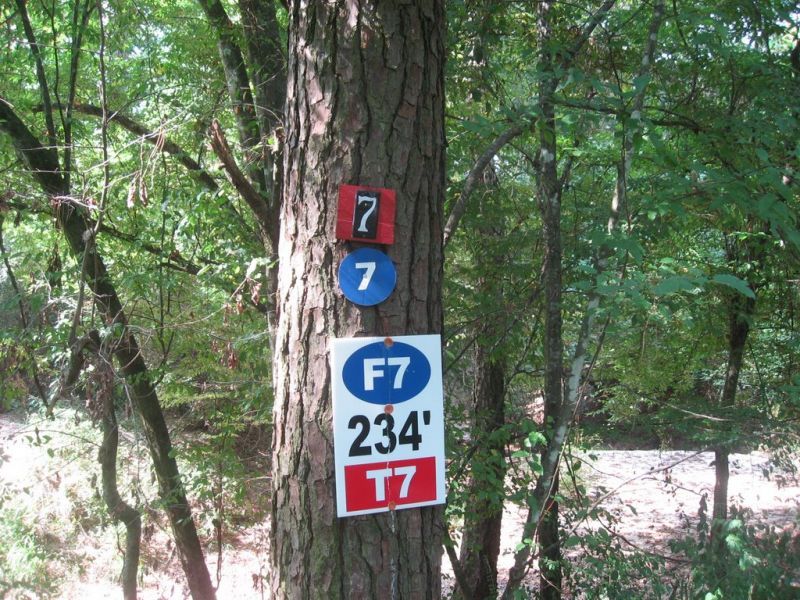 F7