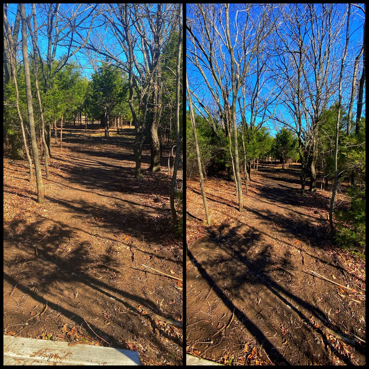 #5 Tee- split fairway- throwing north