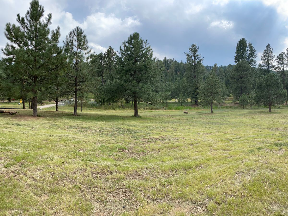 Hole #3 fairway
