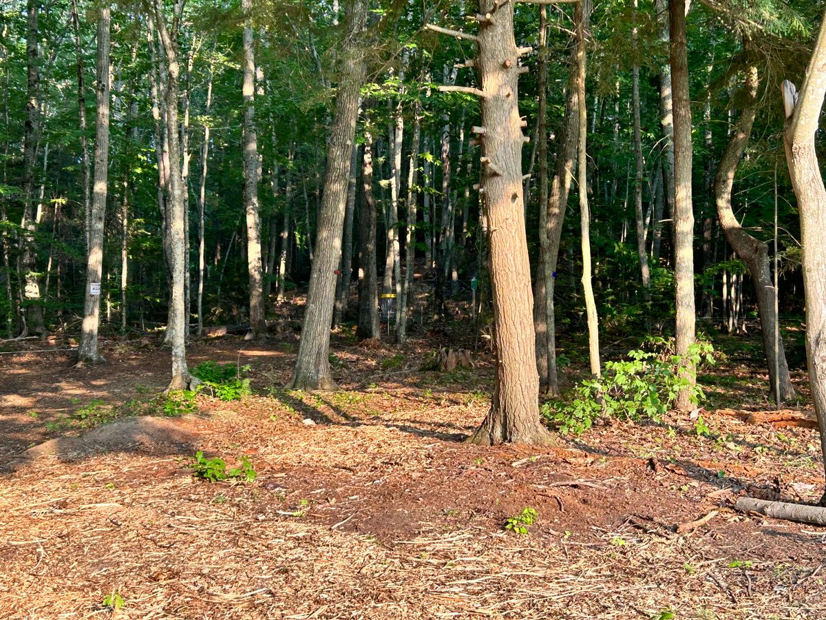 Don't worry - this view of the 1st basket isn't the fairway route to the target. But it's an attractive first view of the course as you enter the woods behind Freeport Middle School.