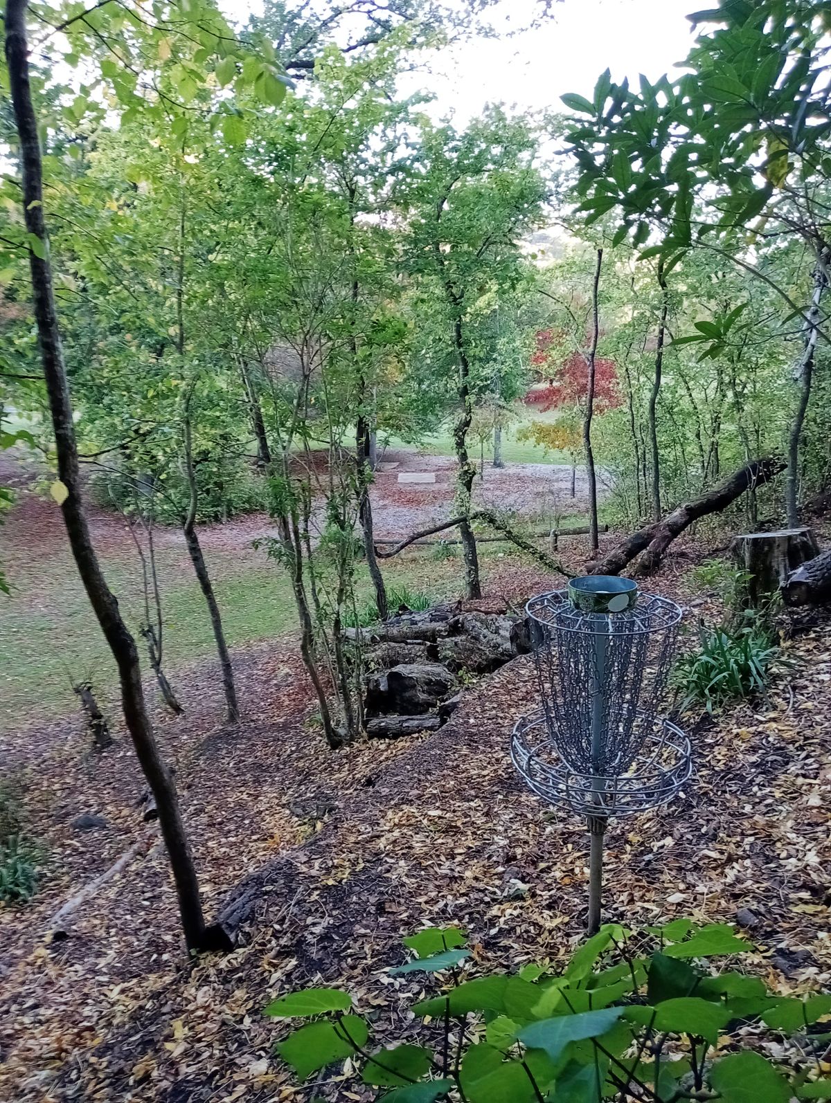 Hole 6