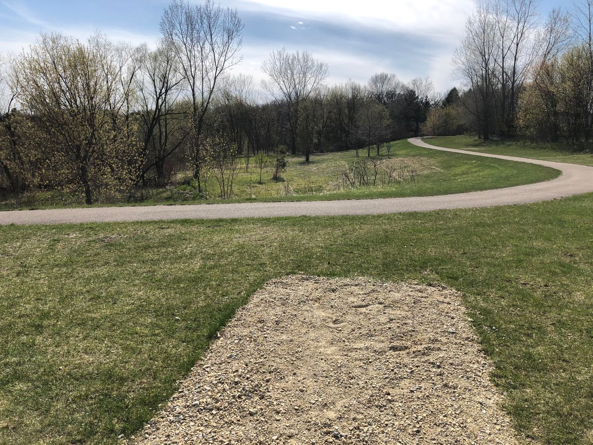 Tee #7