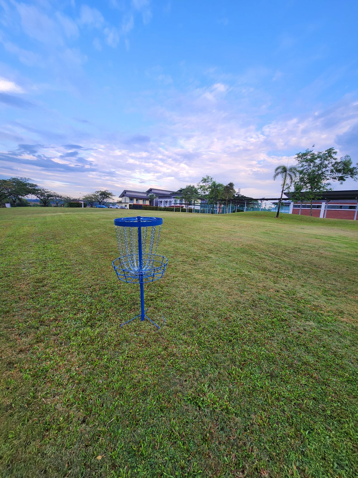 Hole 8 basket
