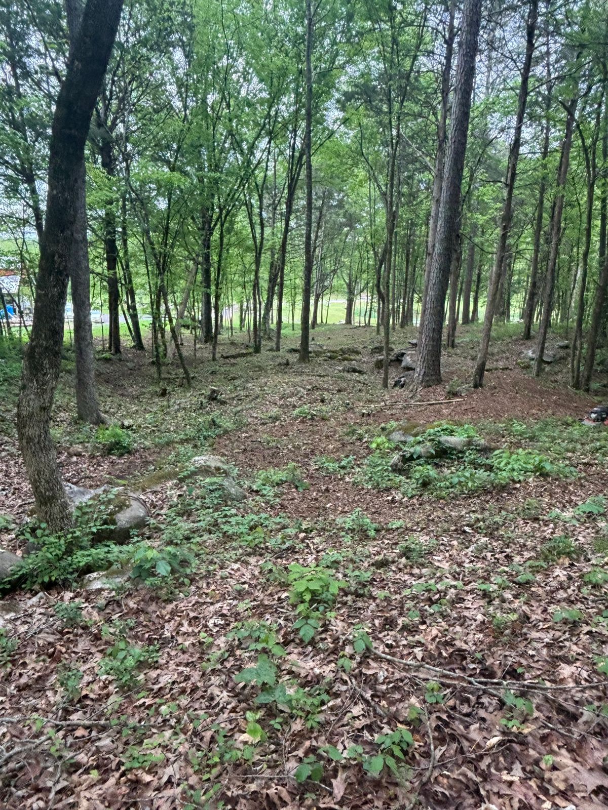 Hole 9/18 mid fairway