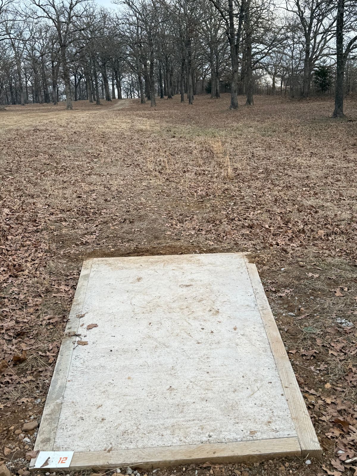 Hole 12 Tee and fairway