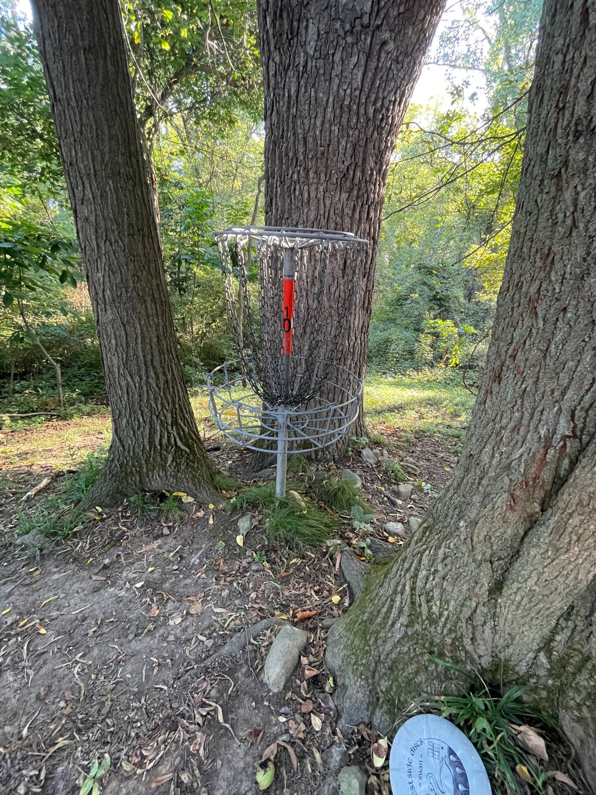 Hole 10 basket nestled in between trees.
