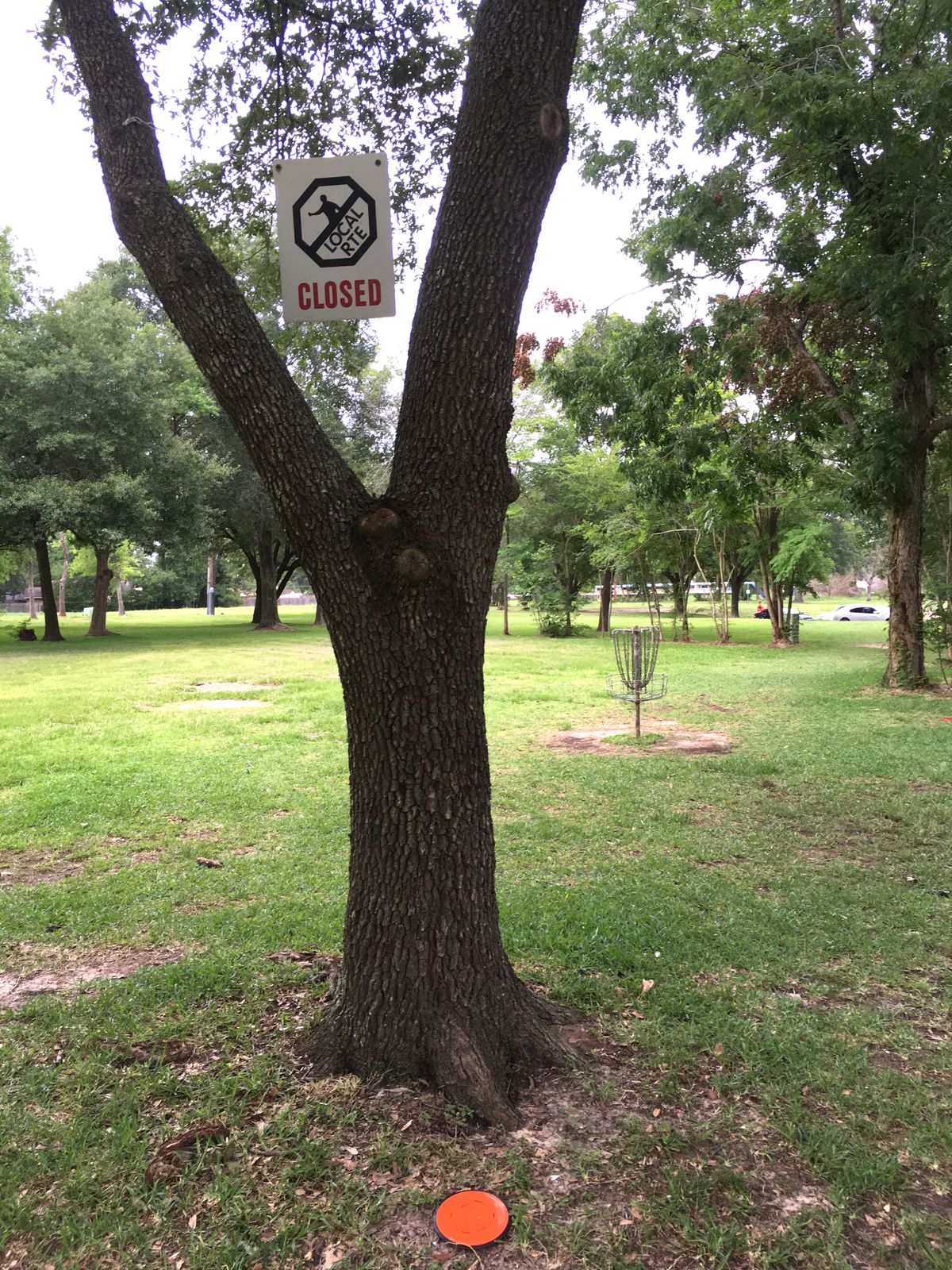 Hole 13 Basket