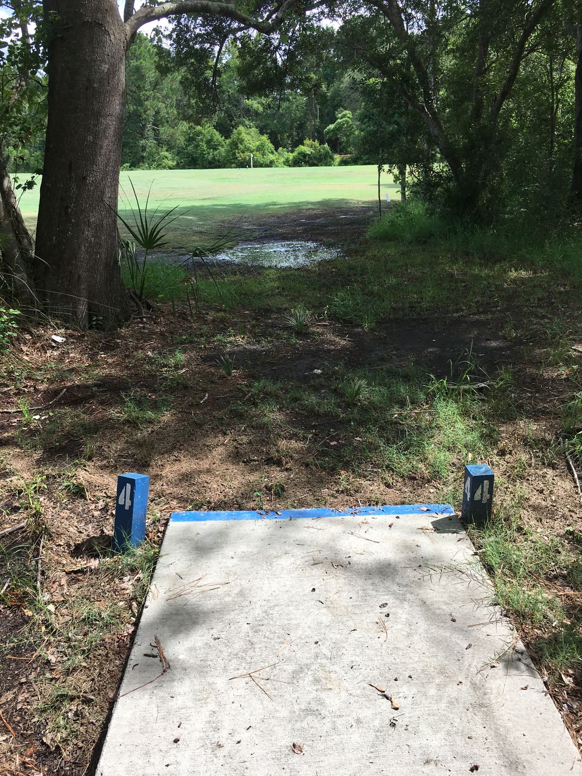 hole 4