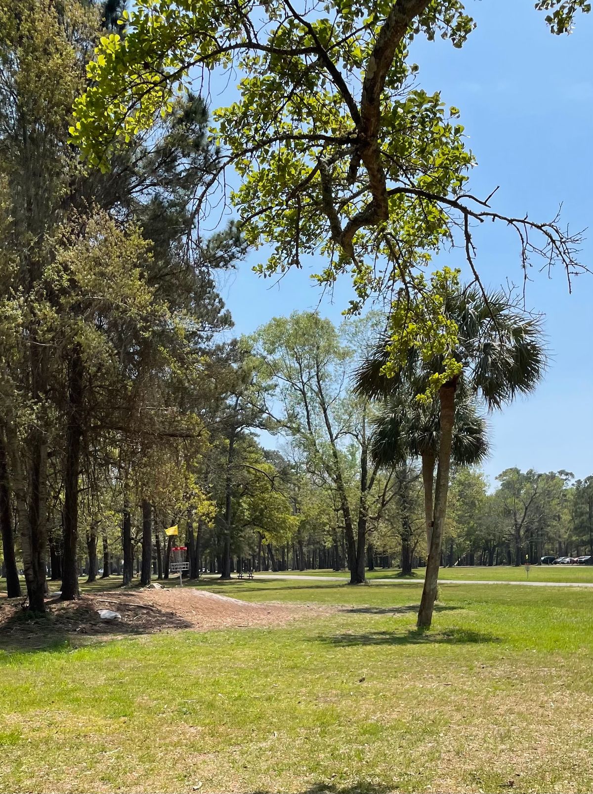 Hole #15
