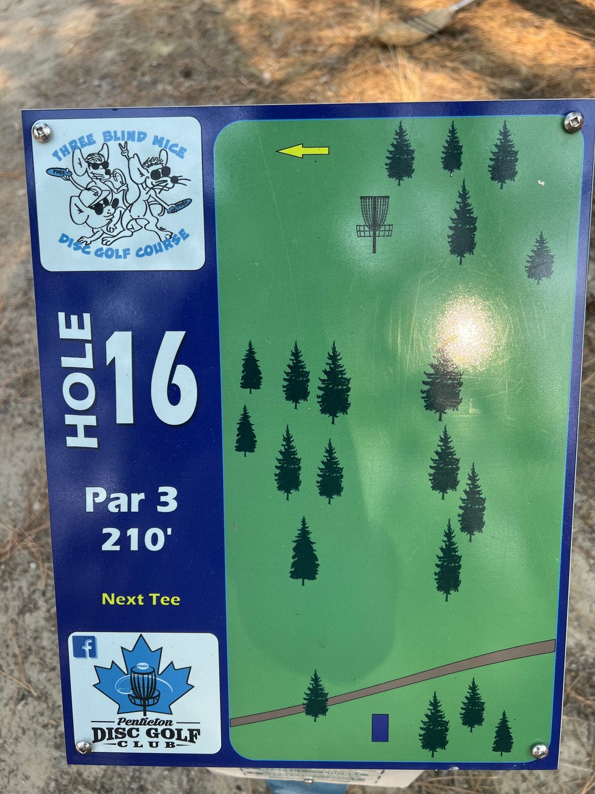 Hole 16