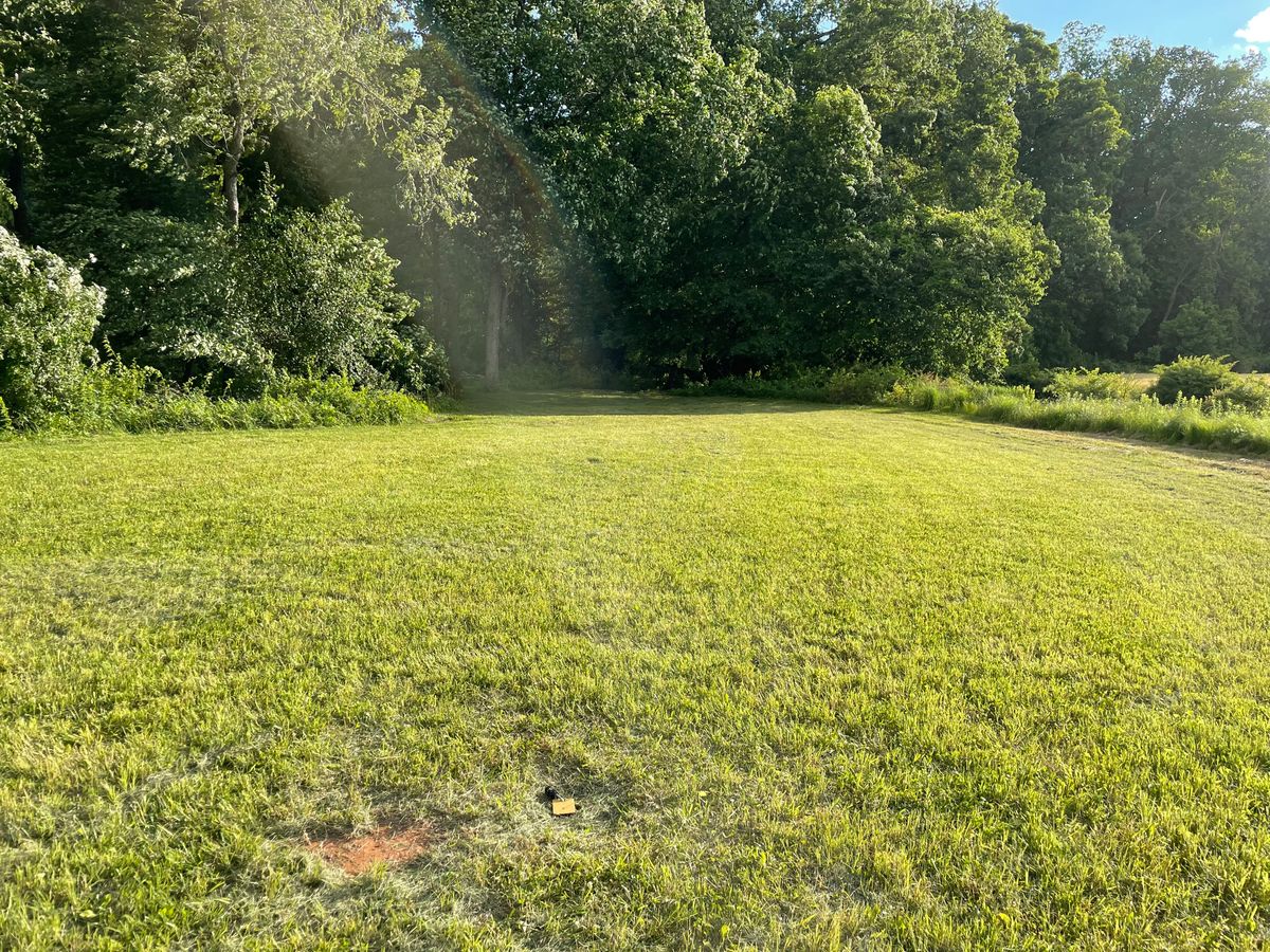 Hole 31 looking back to fairway from C pin position