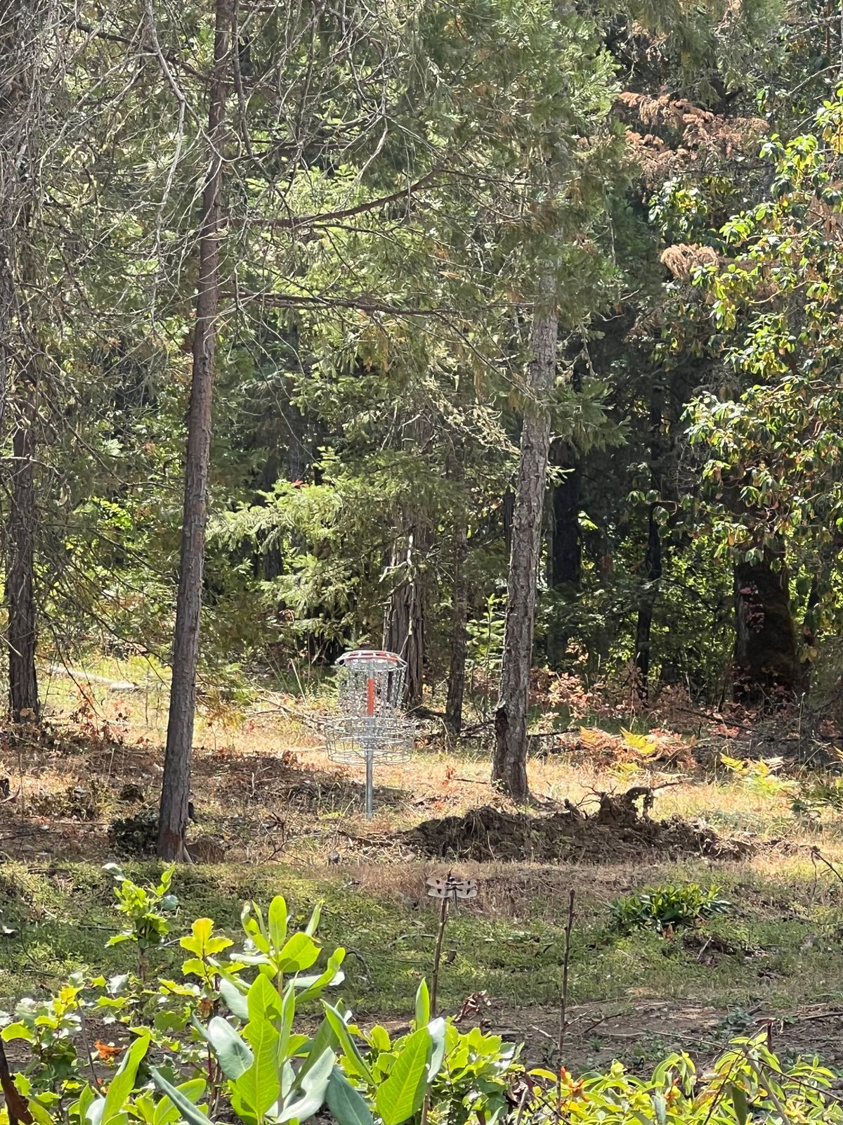 Hole 16