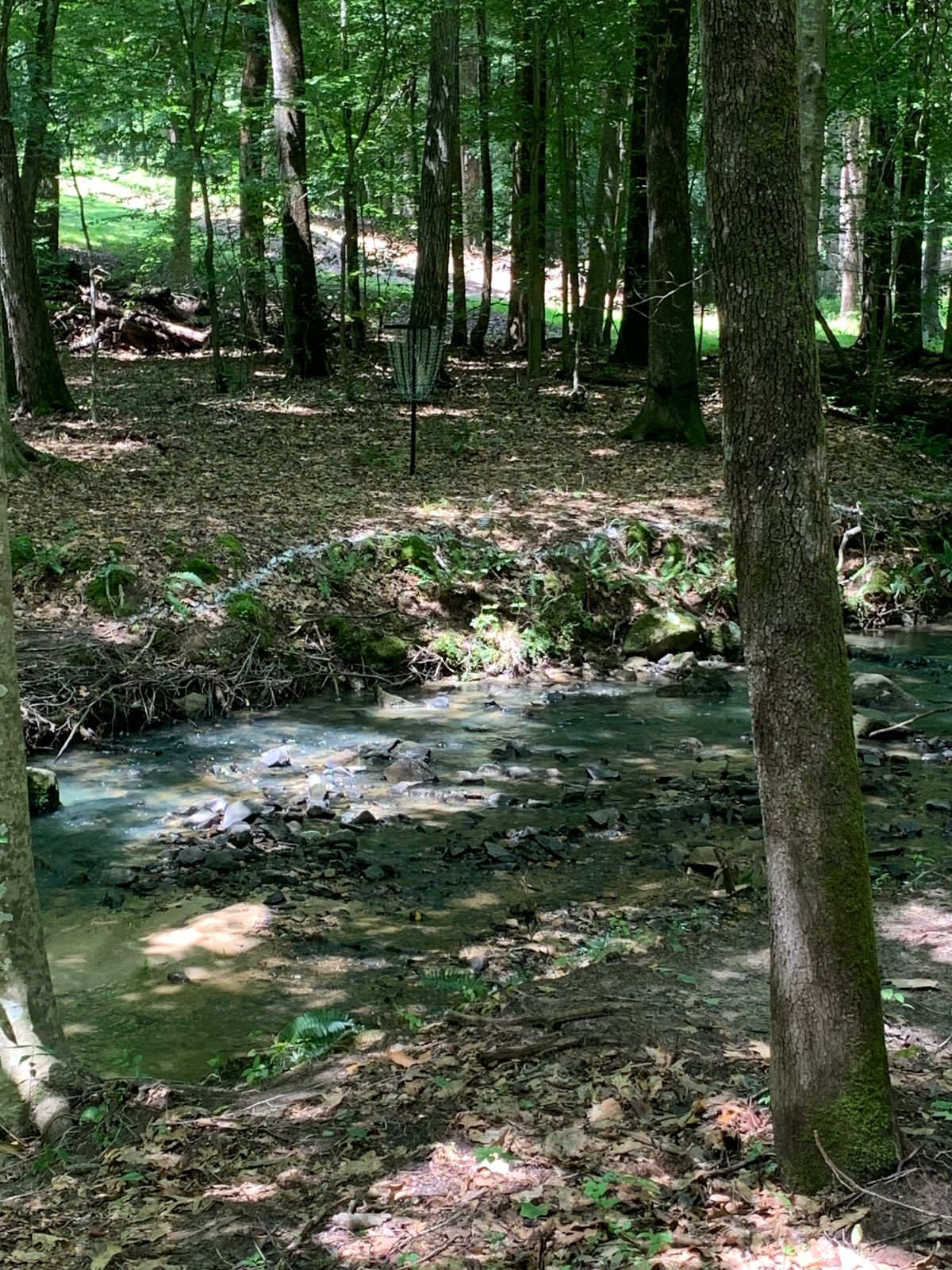 Hole 6 Basket. 