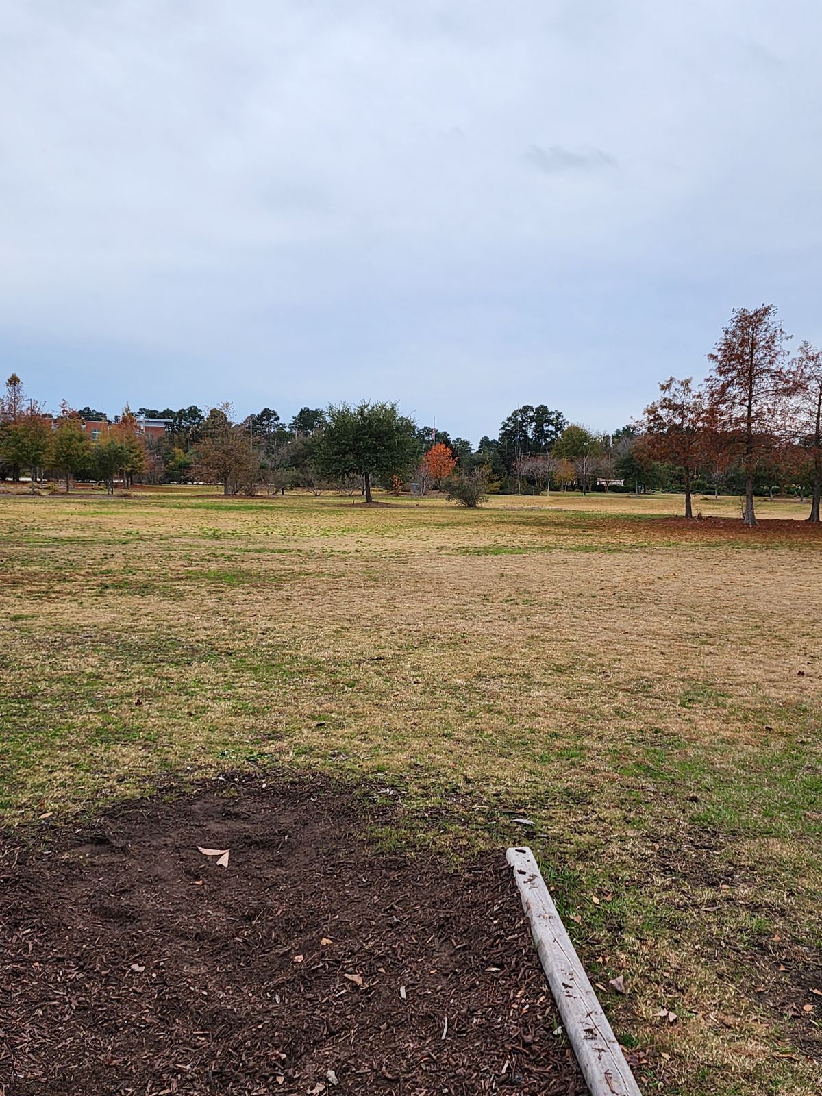 Hole 7