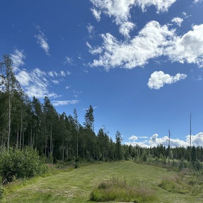 PRO #2 / AMA #3 fairway