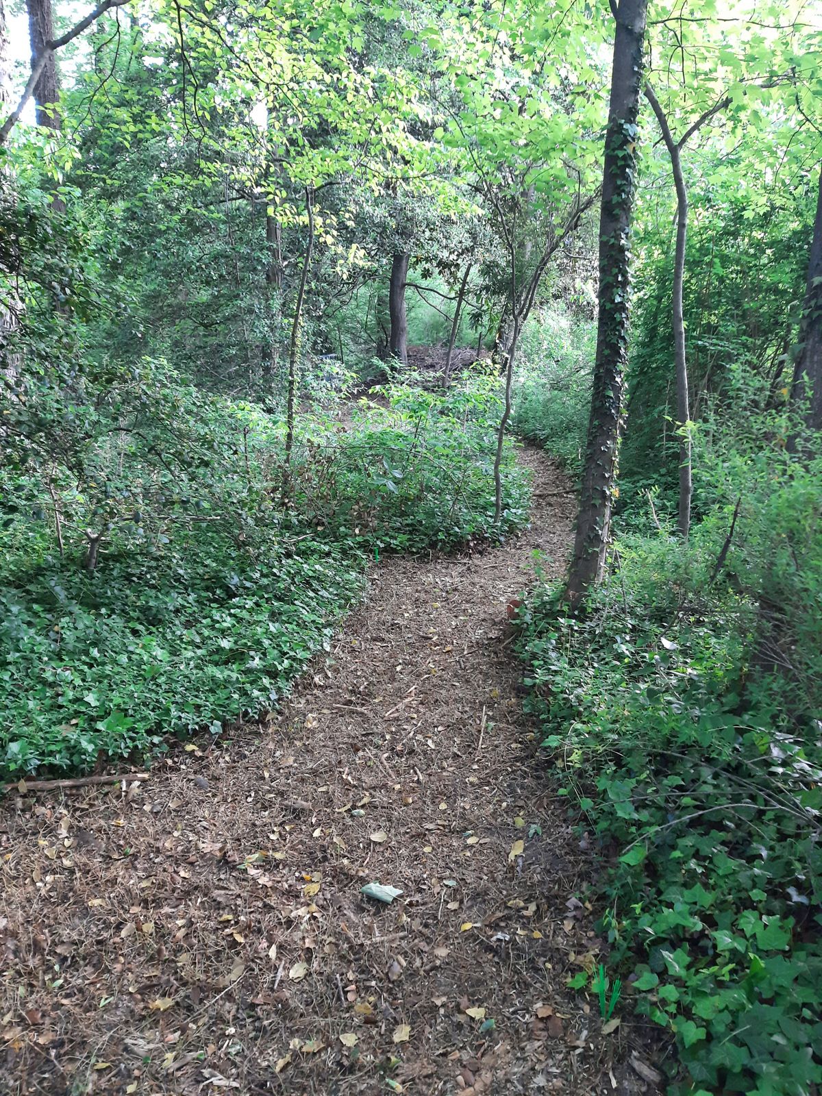 Hole 19 White Tee