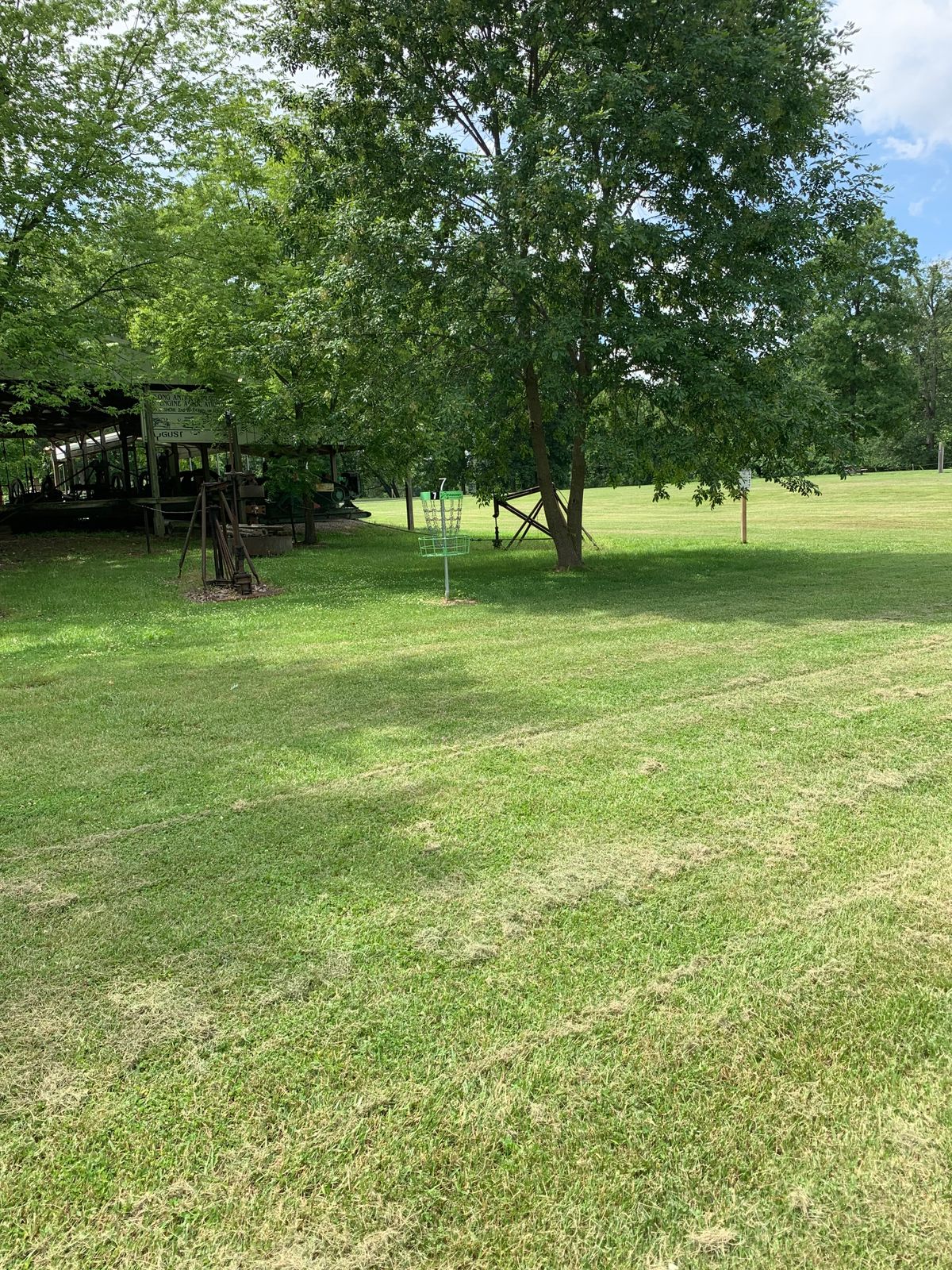 Hole 7 basket