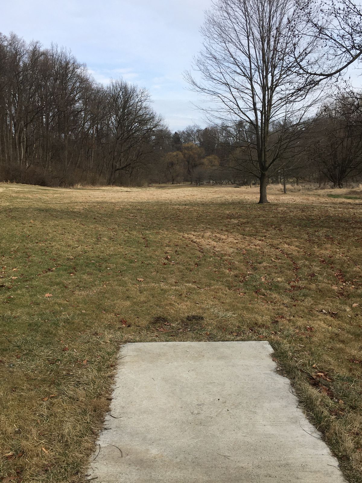 Hole 6