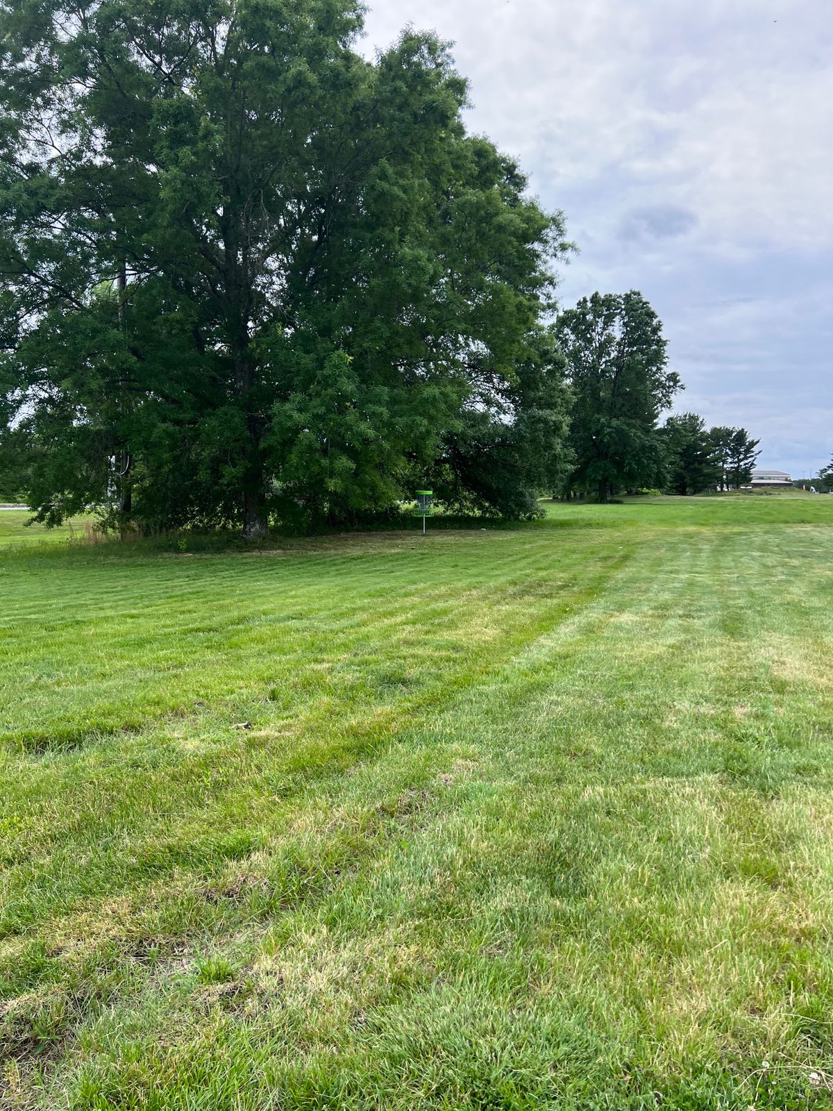 Hole 16 basket