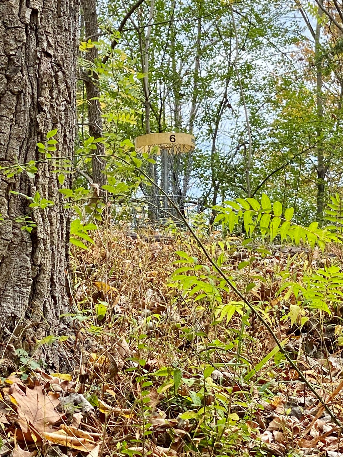 Hole 7.